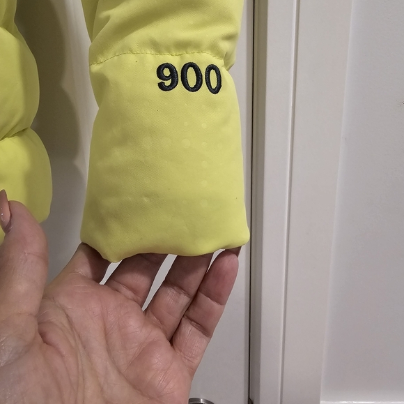 The North Face🔥🔥2X HOST PICK🔥🔥 Summit Series 900 Goose Down Jacket - Picture 4 of 12